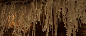 Соляная-Гора-Кардоны