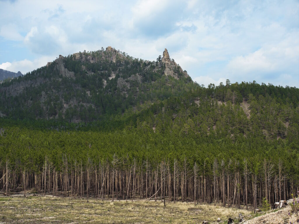 Горы и лес у бухты Песчаная, Байкал