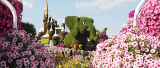 Miracle Garden