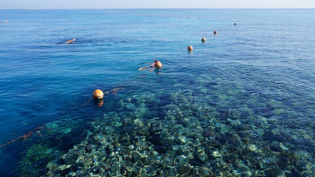 Граница рифа, Красное море, Египет