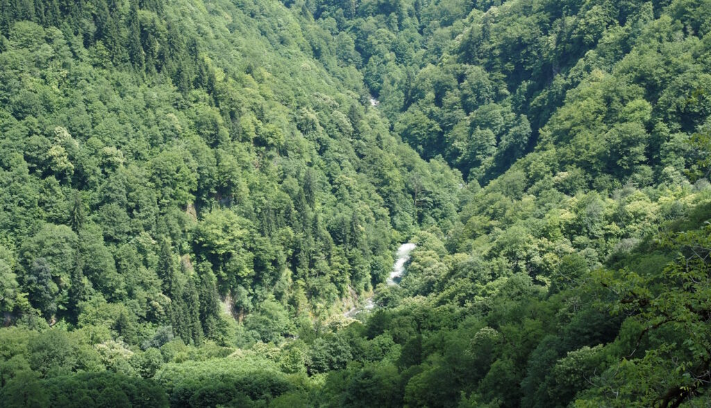 река Мачахлисцкали