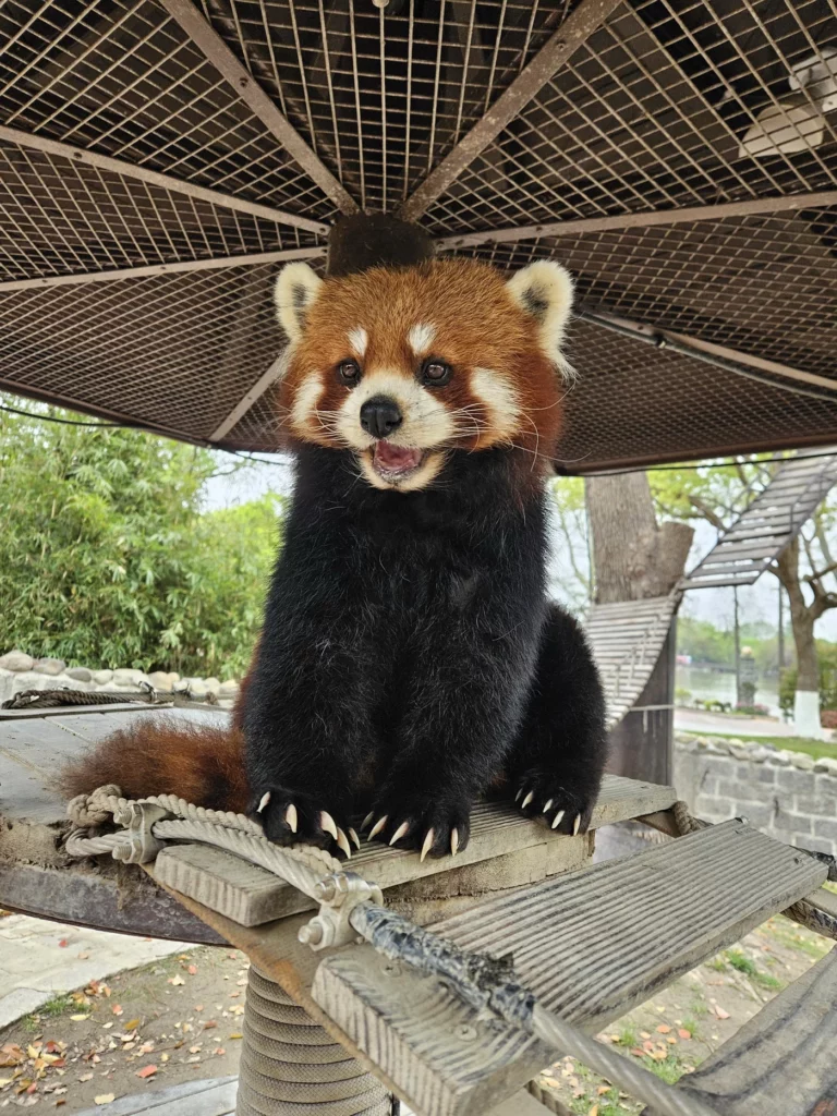 Shanghai Wild Animal Park
