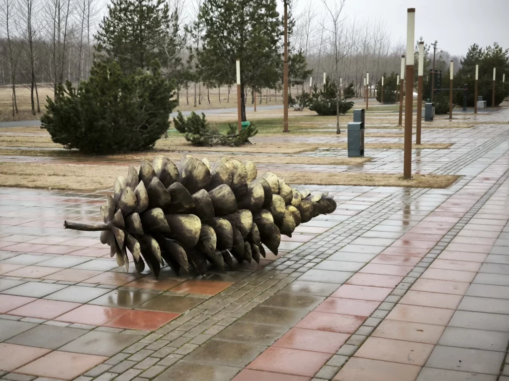 Шишкин парк, экскурсия в Иннополисе